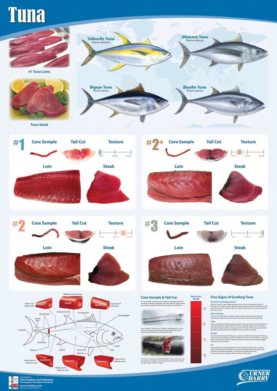 Tuna Wall Chart